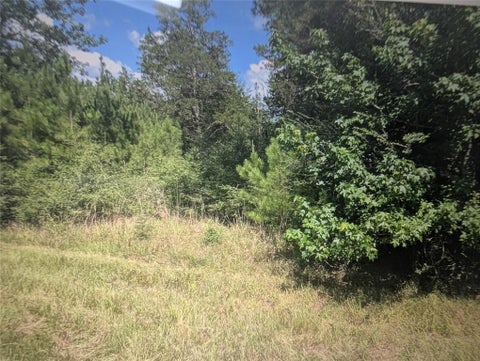Photo of 0 Hwy 59, Livingston, TX 77351 (MLS # 66346289)