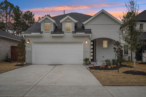 Photo of 30313 Ruby Forest Court, Magnolia, TX 77354 (MLS # 44180706)