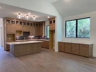 568 Tawny Rim Drive