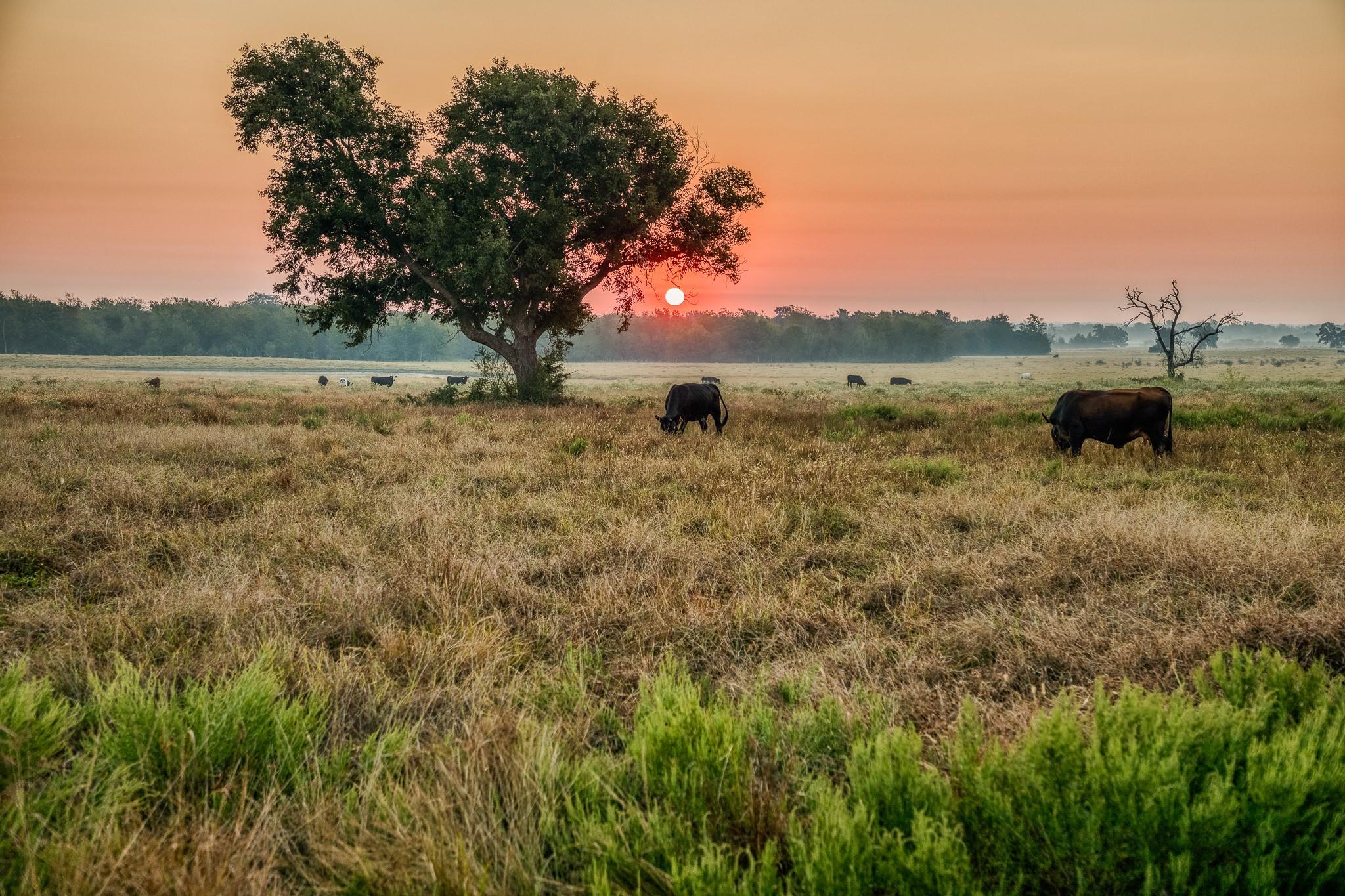 TBD Flat Prairie Road