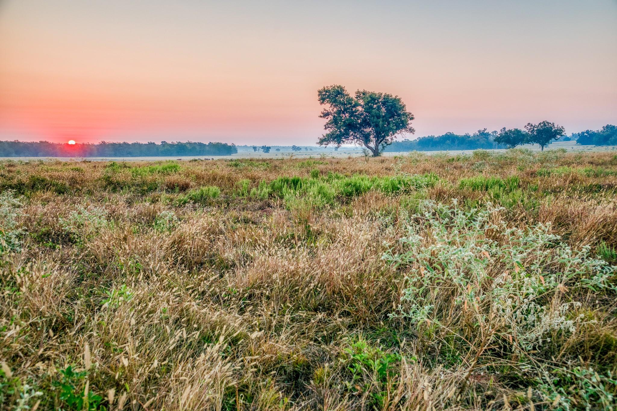TBD Flat Prairie Road