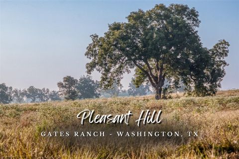 Photo of TBD Flat Prairie Road, Washington, TX 77880 (MLS # 59904614) Photo of TBD Flat Prairie Road, Washington, TX 77880 (MLS # 59904614)