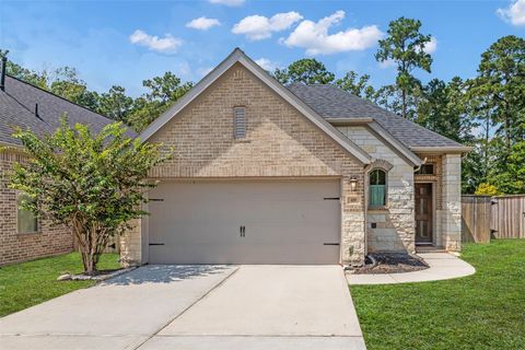 Photo of 409 Brow Pines Court, Montgomery, TX 77316 (MLS # 87091554)