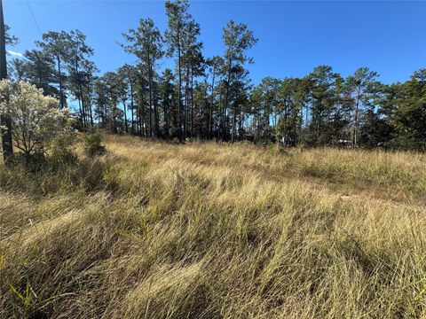 Photo of 64 Private Road 6026 Tract 1-64, Brookeland, TX 75931 (MLS # 81696277)