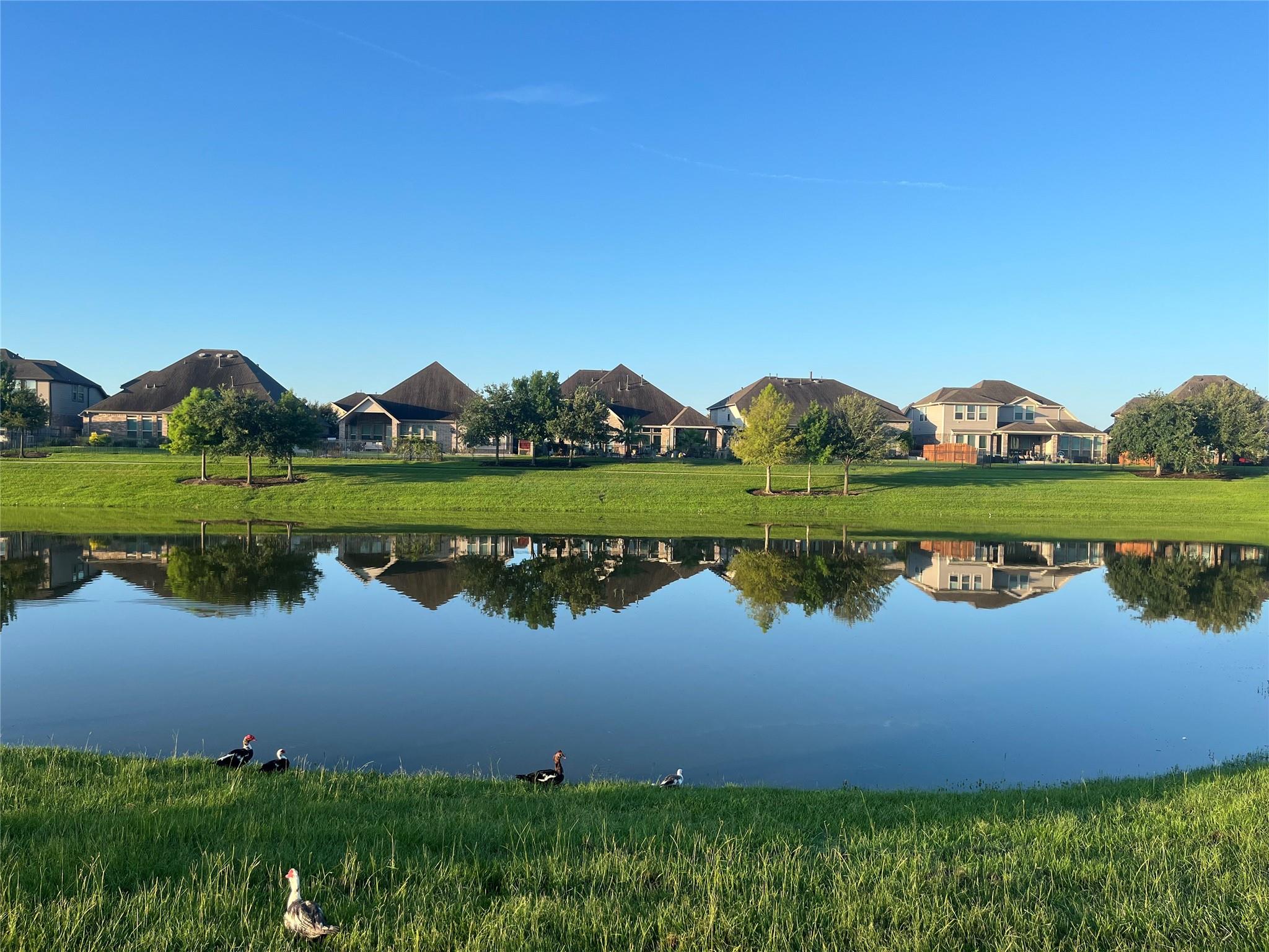 15414 Wildpoint Drive