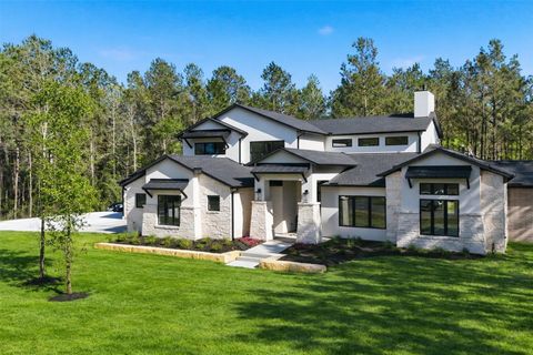 25043 Balmorhea Way Montgomery TX 77316