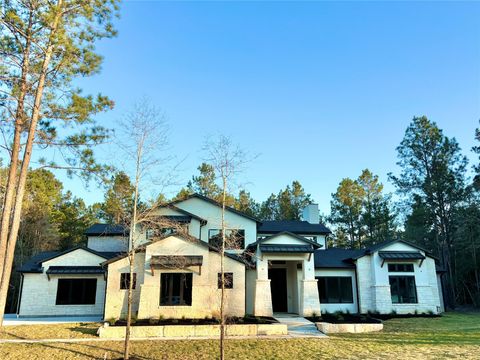 25043 Balmorhea Way Montgomery TX 77316