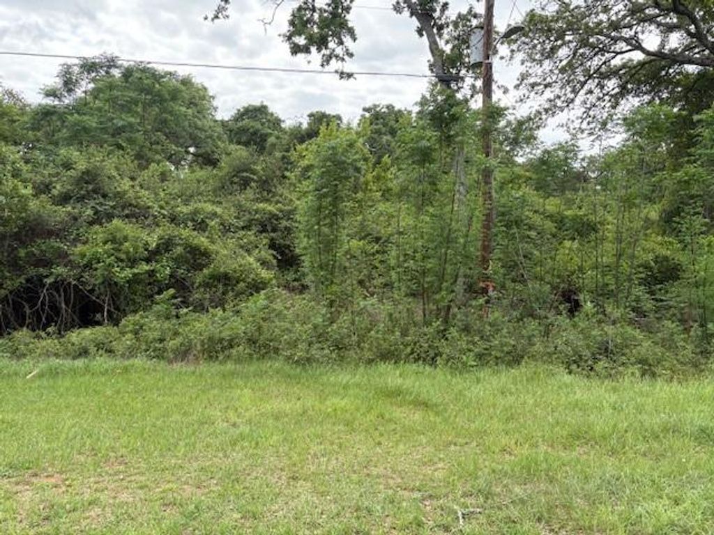 Photo of TBD Arnold Palmer Lane, Normangee, TX 77871 (MLS # 47440285)