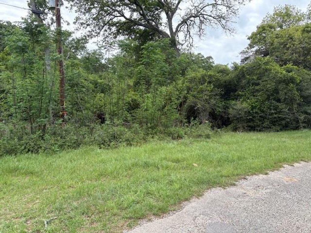 Photo of TBD Arnold Palmer Lane, Normangee, TX 77871 (MLS # 47440285)