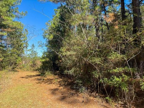 Vacant Land For Sale - TBD Chanticlear Drive<br/> Tyler County, Ivanhoe, TX 75979