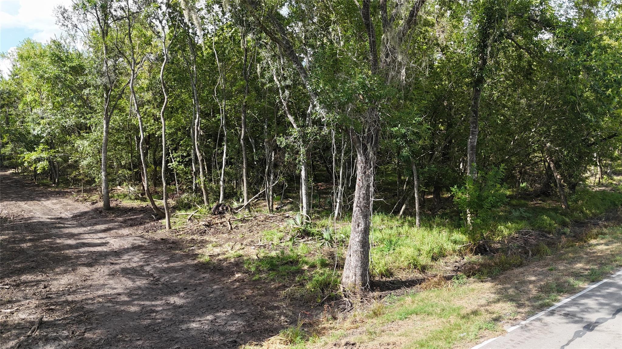TBD Lot 2 County Road 647