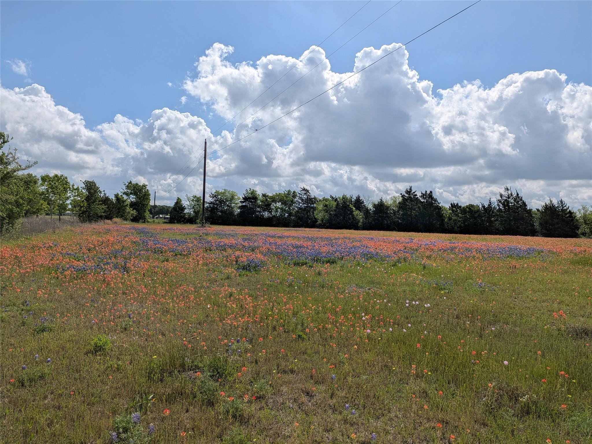 0031 Fm 2562 And Cr 218 Road