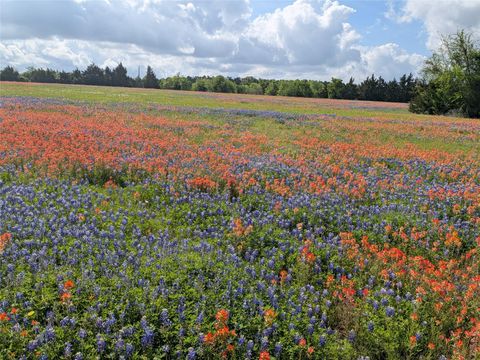 Photo of 31 Fm 2562 And Cr 218 Road, Anderson, TX 77830 (MLS # 48854072)