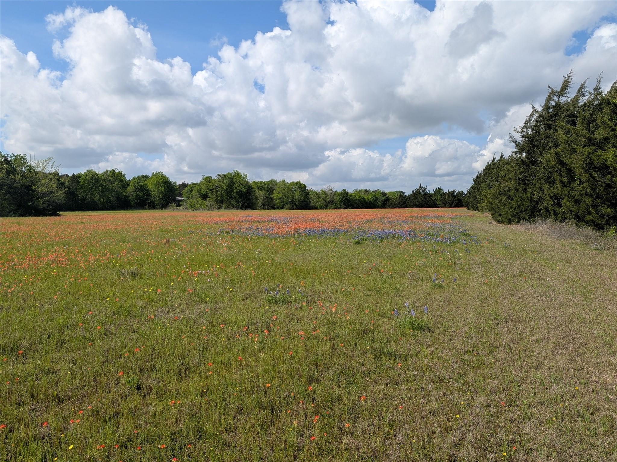 0031 Fm 2562 And Cr 218 Road