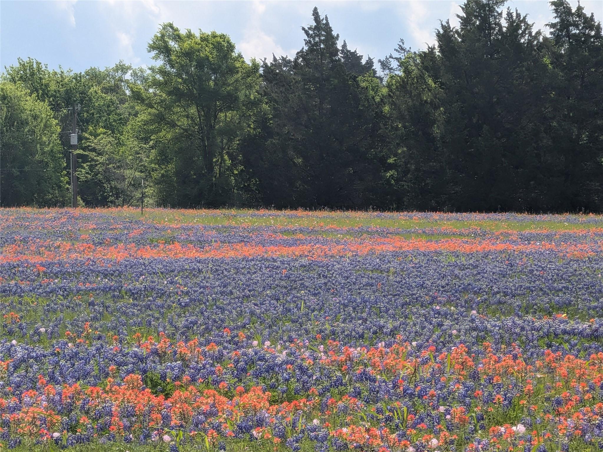 0031 Fm 2562 And Cr 218 Road