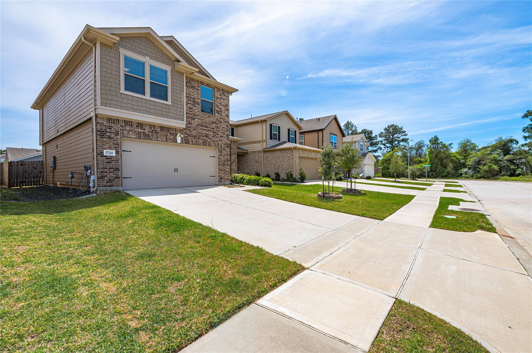17214 Texas Willow Drive