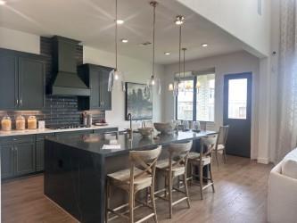 27106 Talora Lake Drive