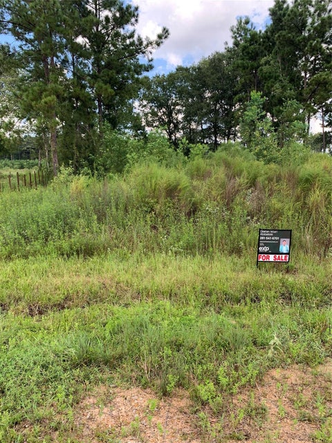 Photo of 8039 Road 5913, Cleveland, TX 77327 (MLS # 43213686)