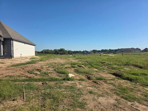 Photo of 805 Trellis Pass, Brenham, TX 77833 (MLS # 29381468)