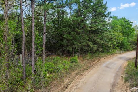 Vacant Land For Sale - 173 Townley Ranch Drive<br/> Huntsville, TX 77320