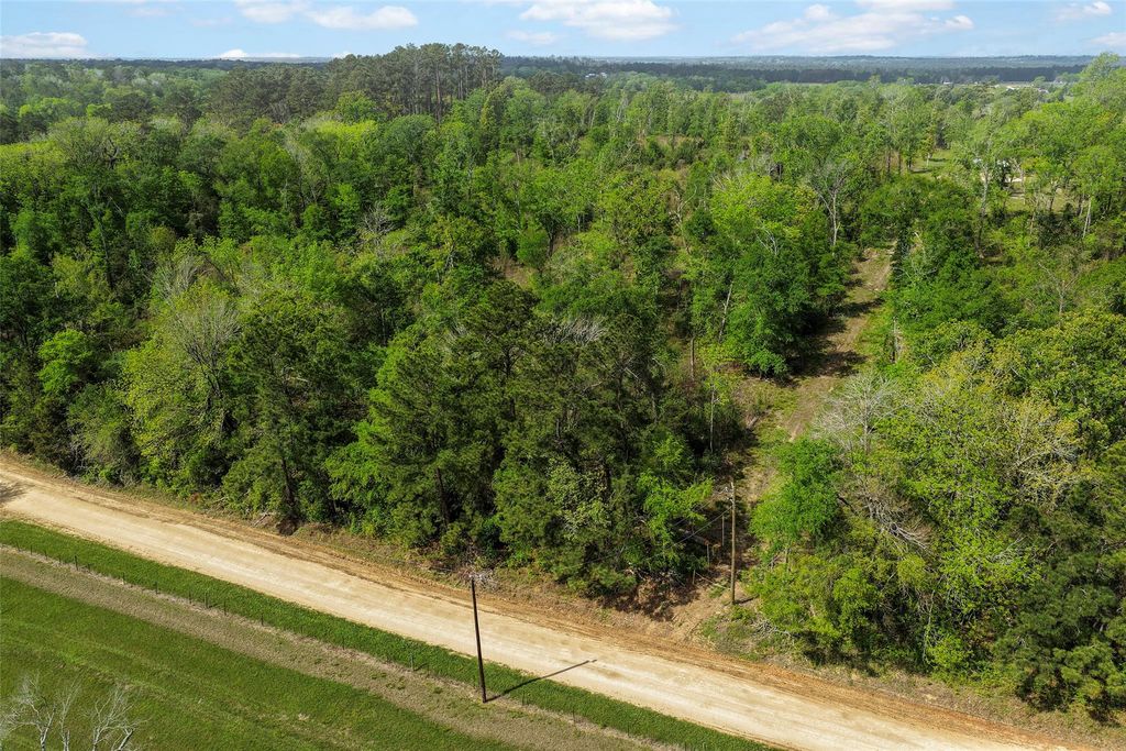 Photo of 173 Townley Ranch Drive, Huntsville, TX 77320 (MLS # 87911925)