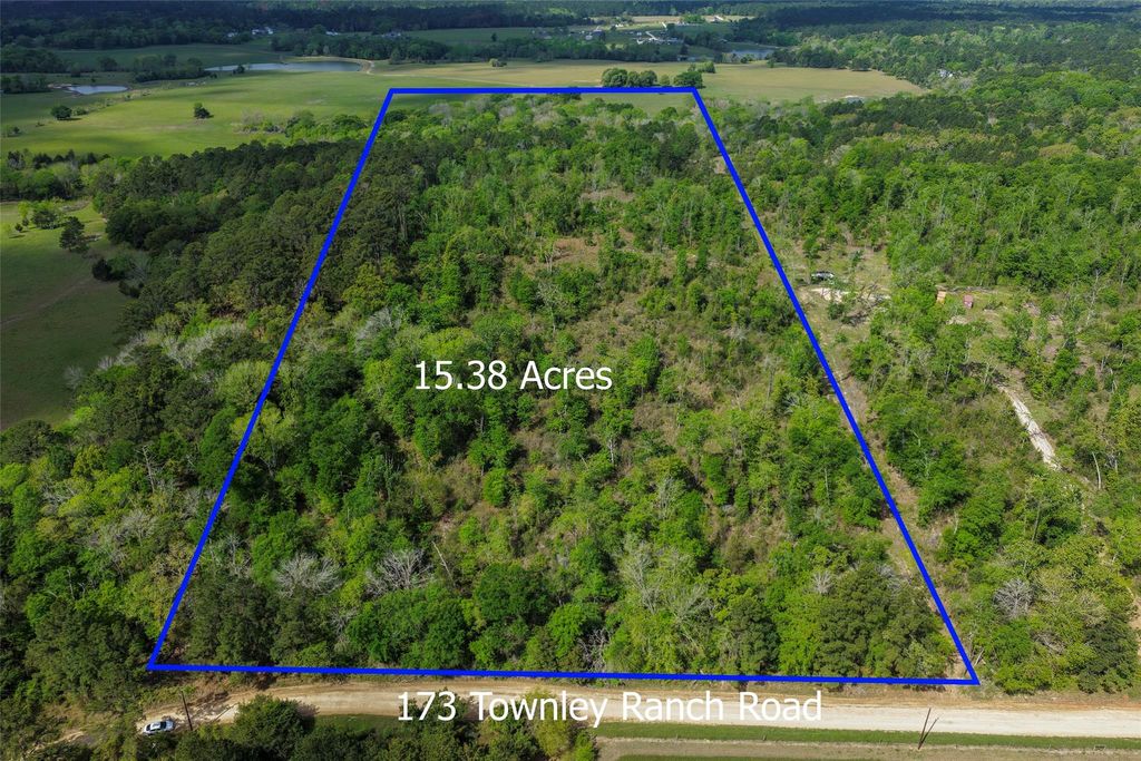 Photo of 173 Townley Ranch Drive, Huntsville, TX 77320 (MLS # 87911925)