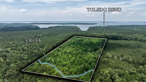 Vacant Land For Sale - 781 Mason Lane<br/> Milam, TX 75959