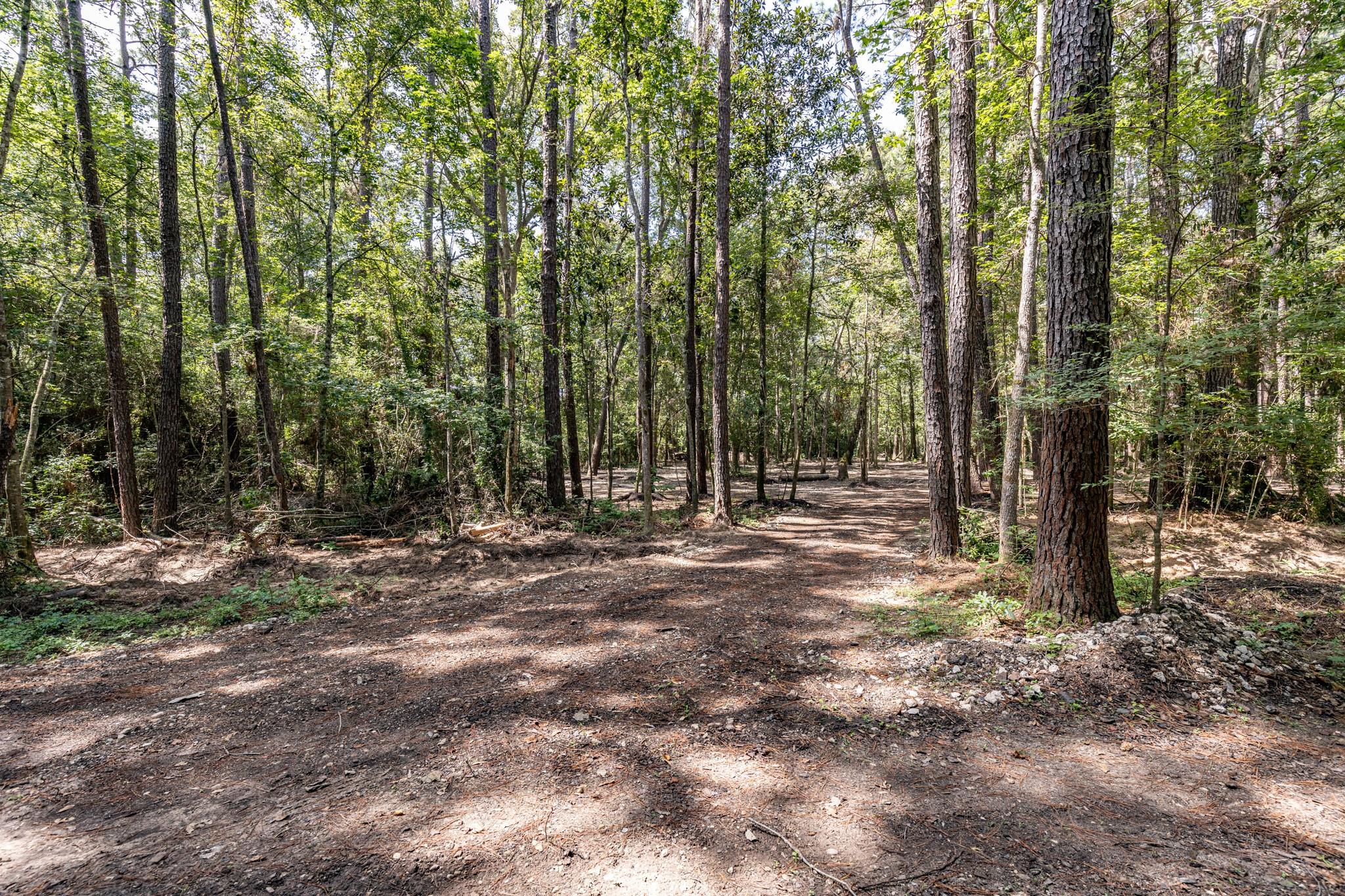 TBD W Irving Road Road