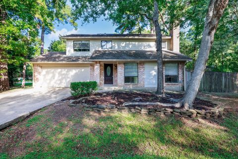 Photo of 1 Ground Brier Court, The Woodlands, TX 77381 (MLS # 10893014)