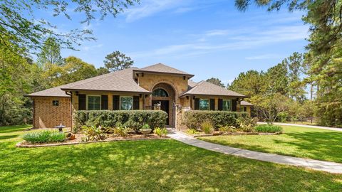 29339 Village Ridge Court Magnolia TX 77355