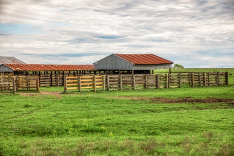 Photo of 9502 Seward Plantation Road, Brenham, TX 77833 (MLS # 34662027)
