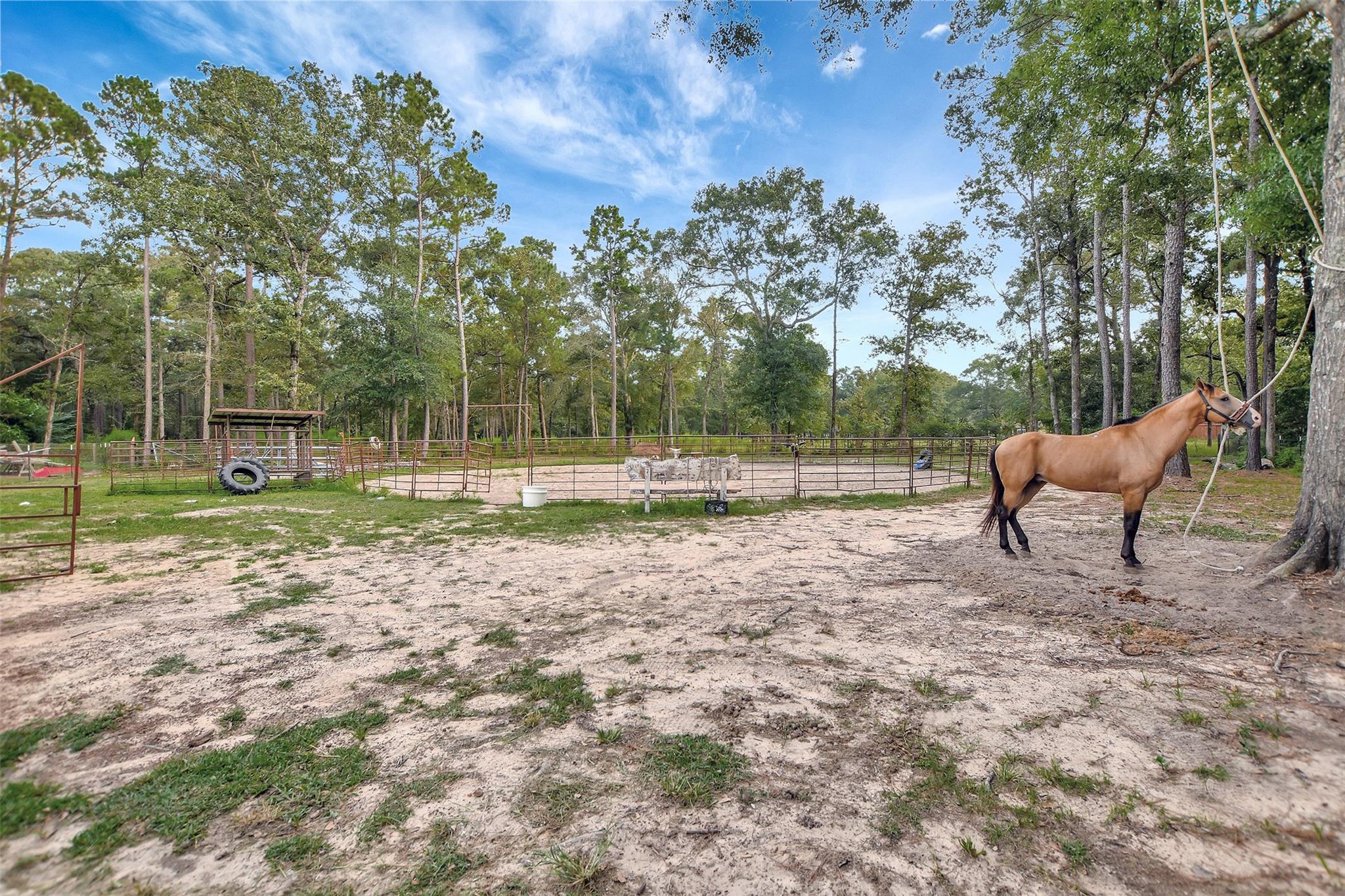 10677 Fm 2432 Road