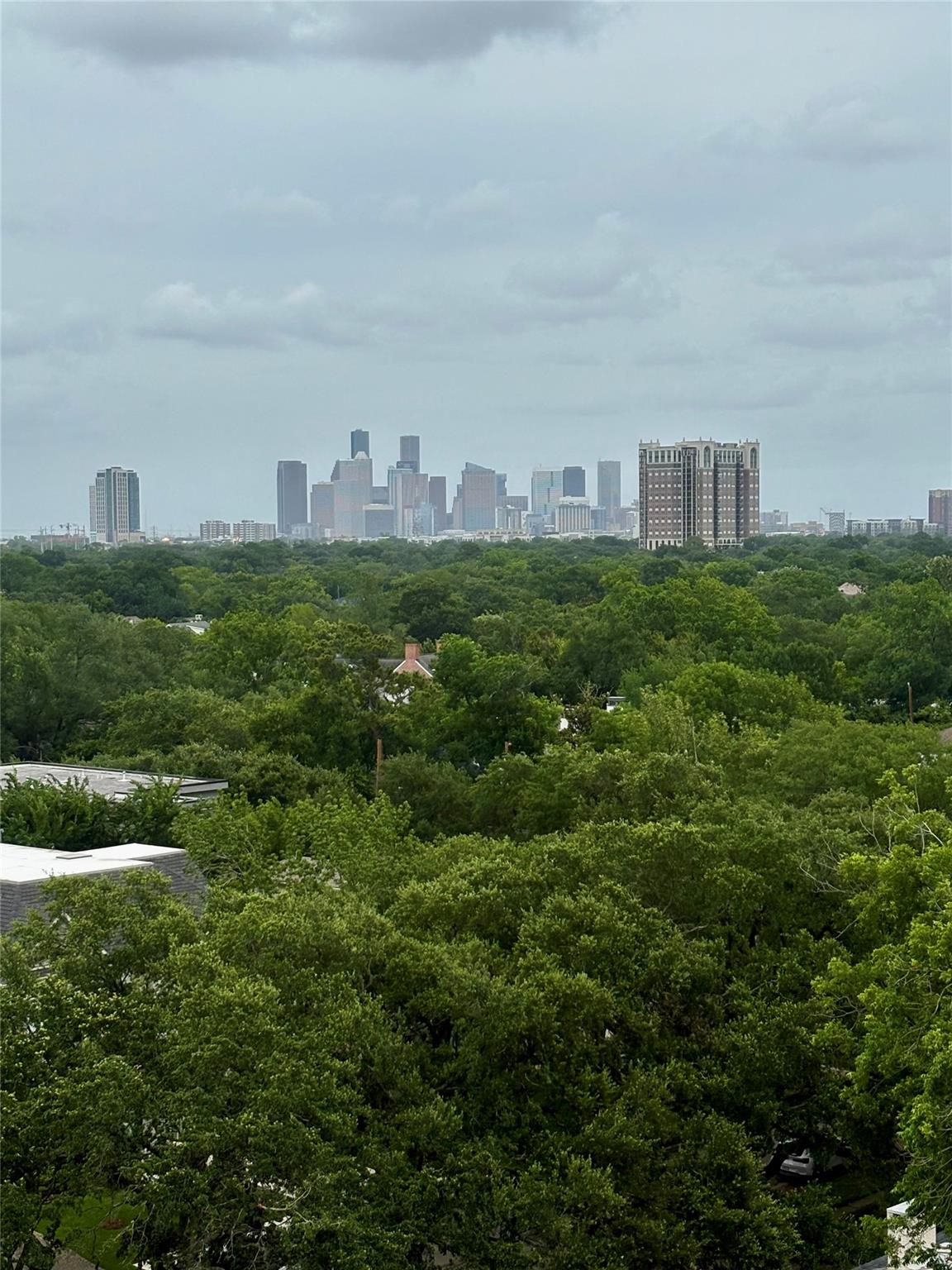 2360 Rice Boulevard 1103