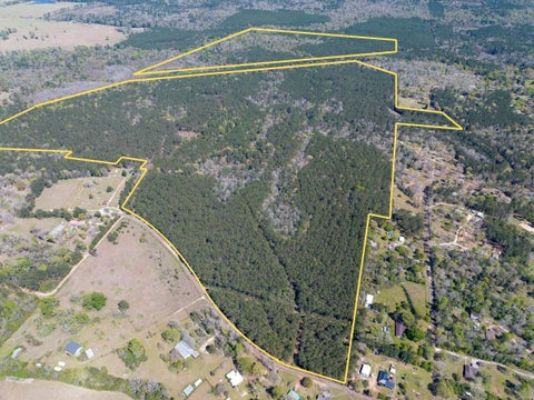Photo of 526 Mount Pisgah Road, Woodville, TX 75979 (MLS # 46739962)