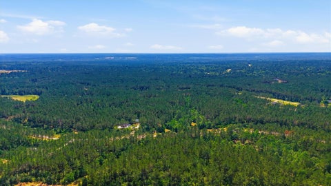 Vacant Land For Sale - 15388 Forest Grove Drive<br/> Willis, TX 77378