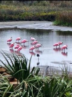 3611 Indian Beach Drive