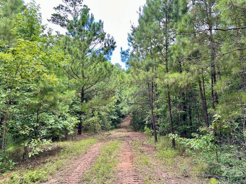 Vacant Land For Sale - 00 Cr 2065<br/> Houston County, Crockett, TX 75835
