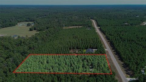 Photo of 11997 High Branch Way, Willis, TX 77378 (MLS # 22072239)