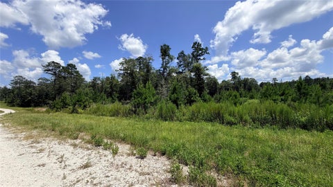 Photo of TBD Lady Luck Ln Parcel 246445 Road, Livingston, TX 77351 (MLS # 18966218)