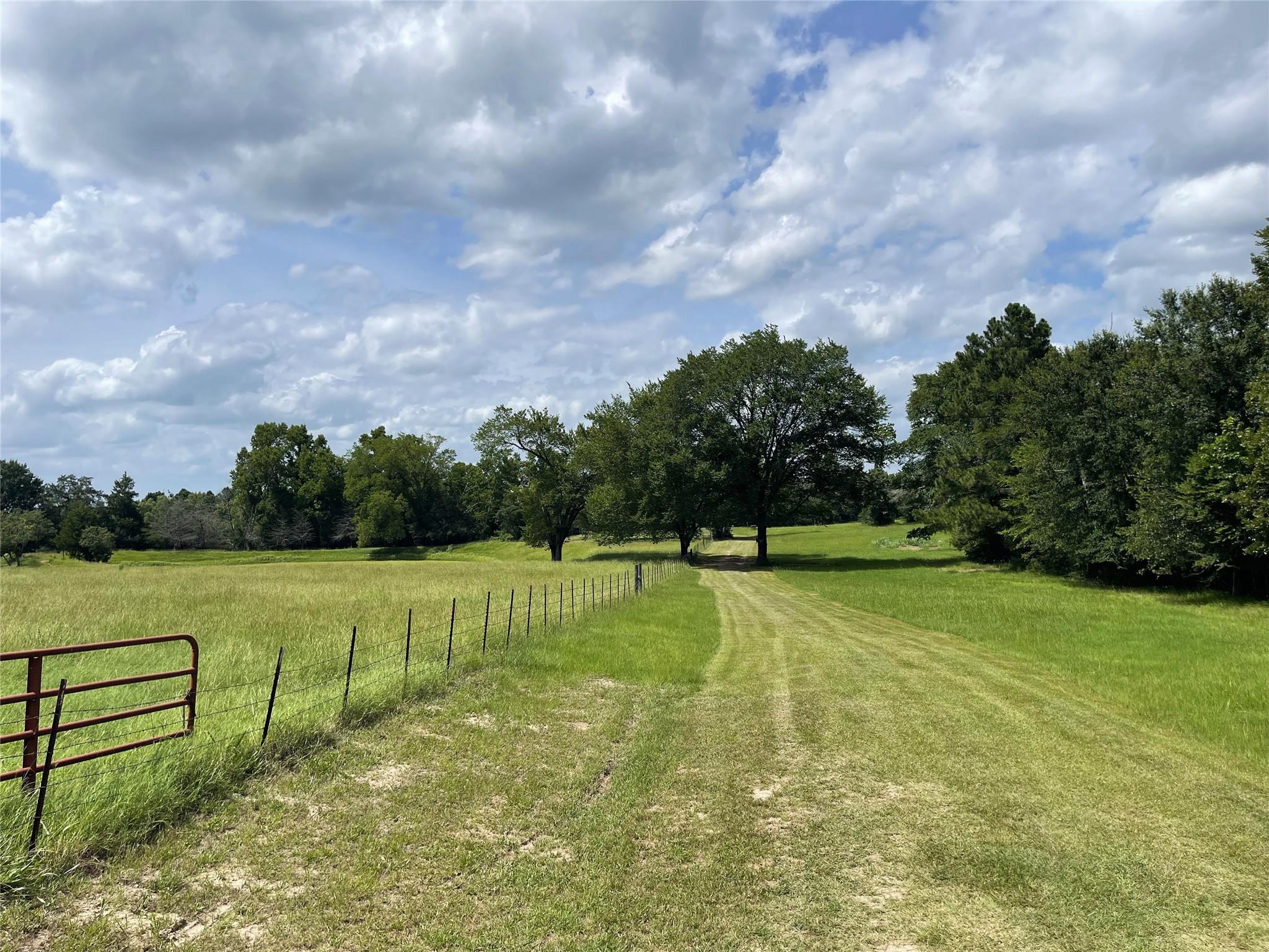 1666 Us Highway 84