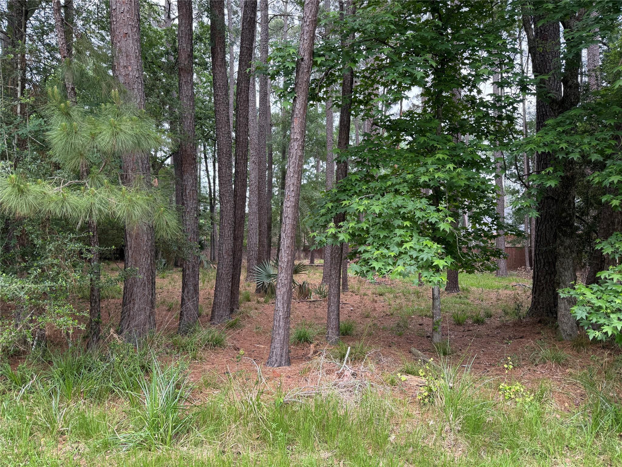 6 Stony Creek Drive
