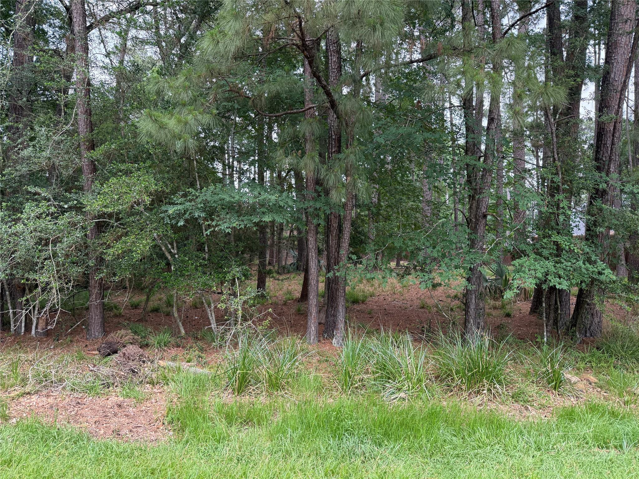 6 Stony Creek Drive