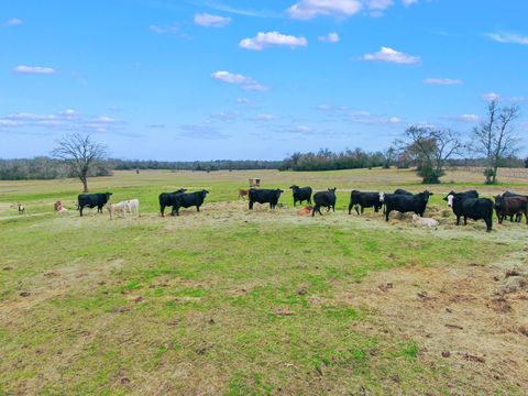 Photo of 0 Pleasant Grove Road, North Zulch, TX 77861 (MLS # 24346764) Photo of 0 Pleasant Grove Road, North Zulch, TX 77861 (MLS # 24346764)