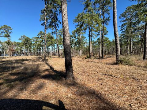 Photo of 28 Private Road 6028, Brookeland, TX 75931 (MLS # 29915571)