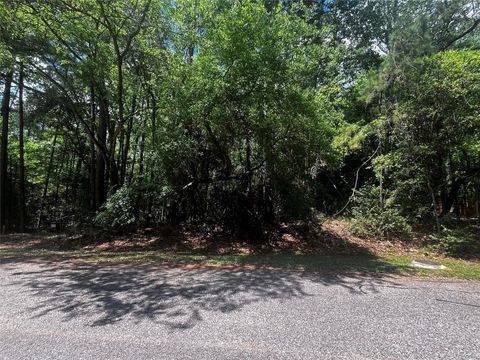 Photo of 73 Sunny Hill Drive, Coldspring, TX 77331 (MLS # 78447097)