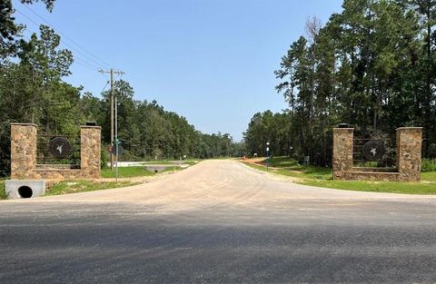 Photo of 231 Iron Horse Road, New Waverly, TX 77358 (MLS # 29519772)