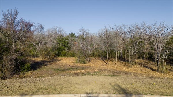 3325 STEPHAN'S XING, BRYAN, TX 77807 - Image 981b56e04be9fc27ff9bb5fb3eea3a22/226518681