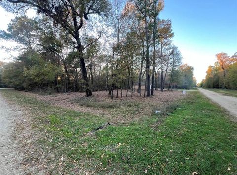 0 Mossy Drive Livingston TX 77351