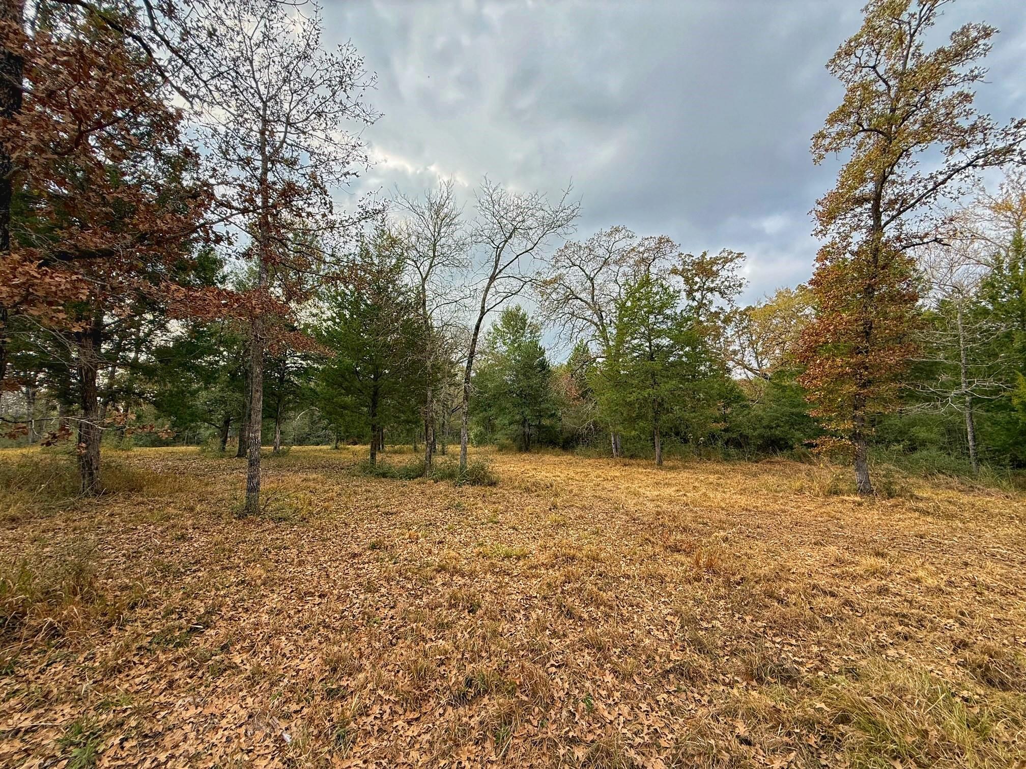 13 ac Highway 75 North