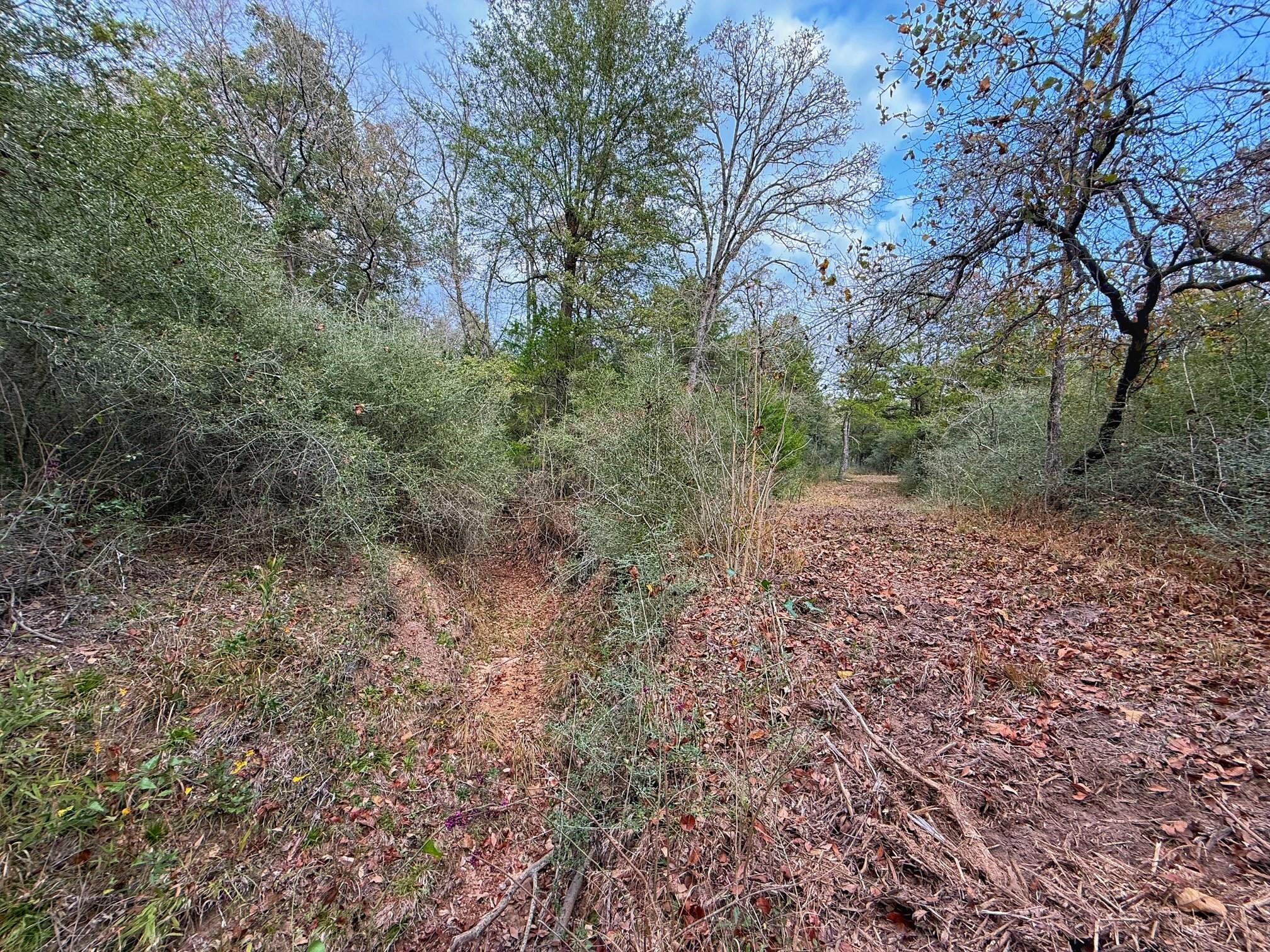 13 ac Highway 75 North